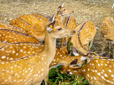 台中到墾丁包車